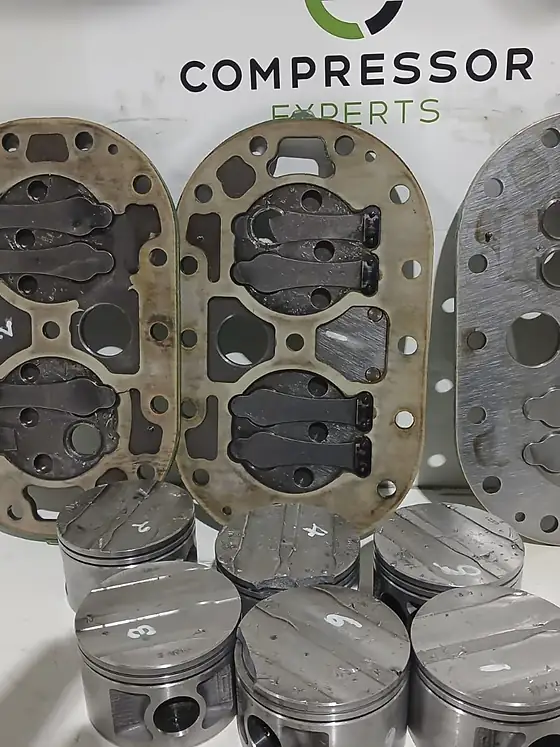 Valve plates and pistons laid out for inspection