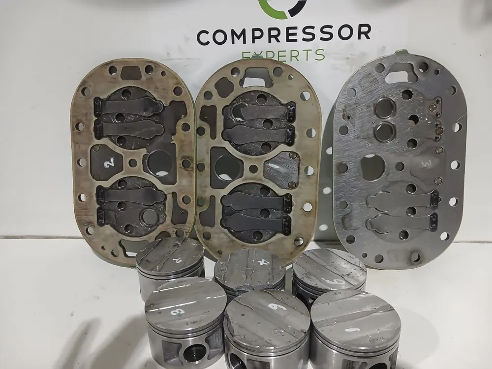 Valve plates and pistons laid out for inspection